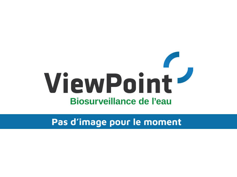 sans-img-1-viewpoint-6a74475c19a81649407970.jpg